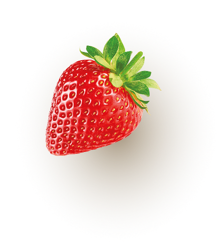 Product image fruit top